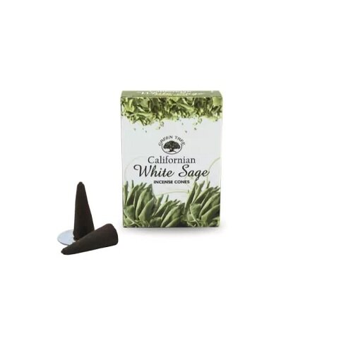 californian white sage wierookkegel green tree