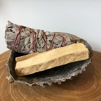 Reinigingsset witte salie met palo santo in abeloneschelp