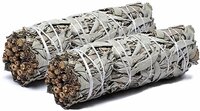 witte salie smudge stick S 2 stuks
