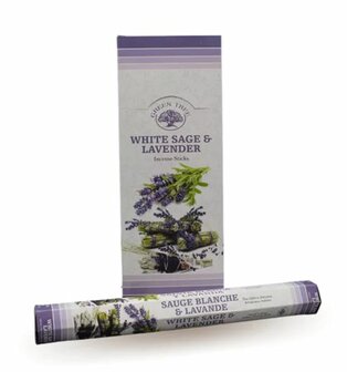 white sage lavendel wierook green tree