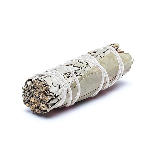witte salie met eucalyptus smudge stick