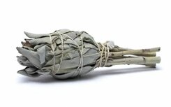 smudge white sage fakkel smudge white sage fakkel